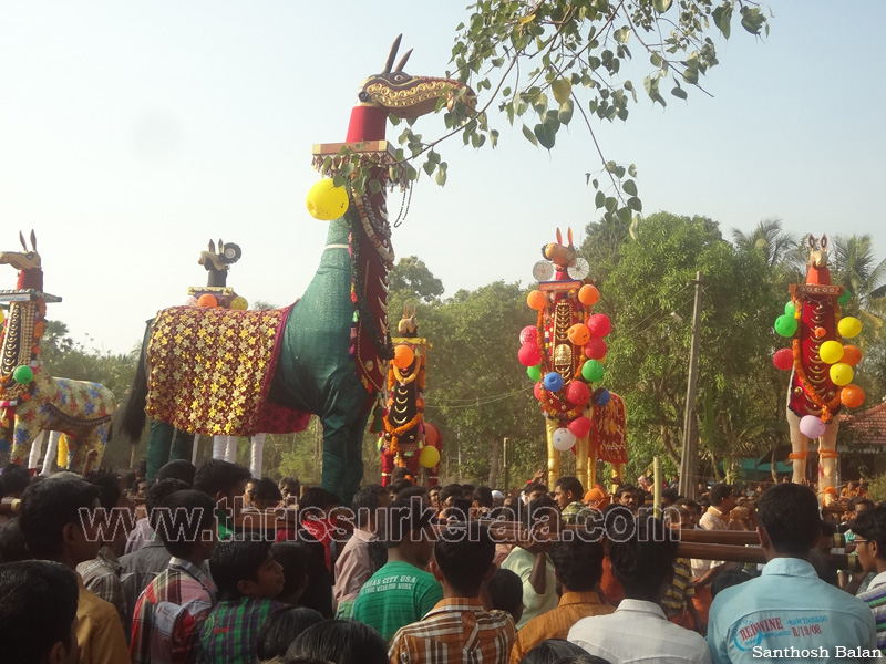 mangad-pooram-2012 (42)